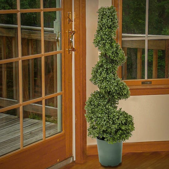 3.5ft. Boxwood Spiral Topiary